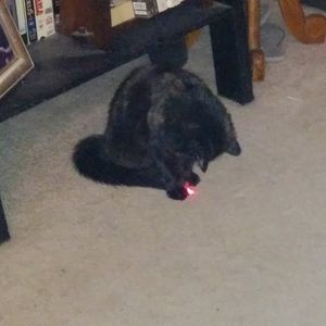 Meet your Posher, Kristi